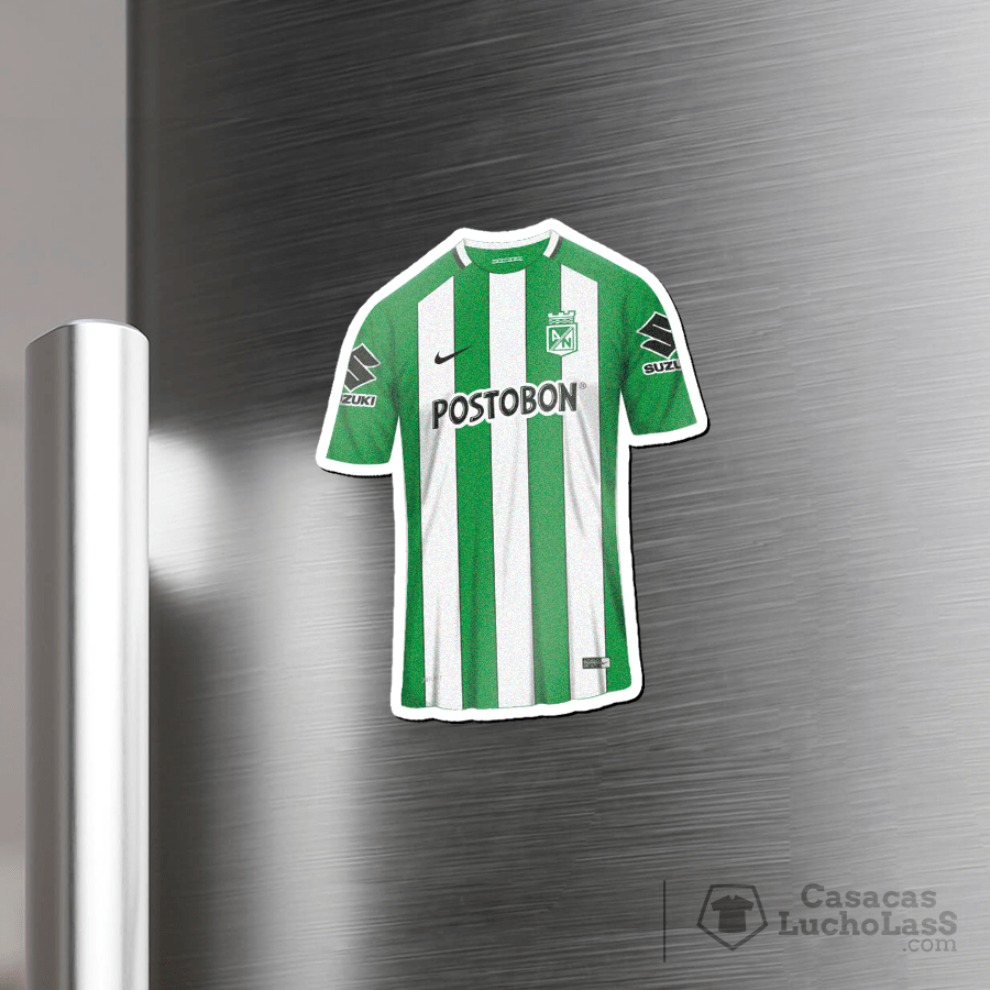 Imanes camiseteros