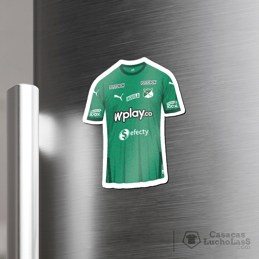 Imanes camiseteros
