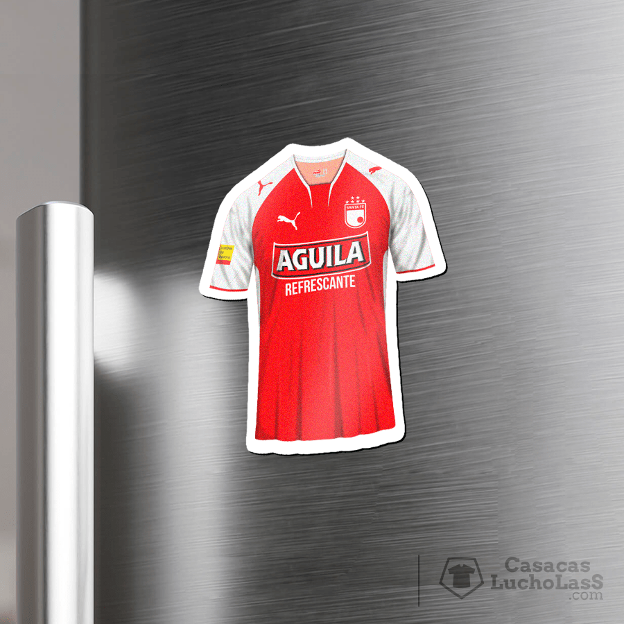 Imanes camiseteros